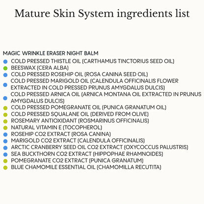 Anti-Age System